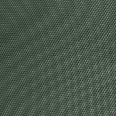 Оксфорд (Oxford) 240D 19-5917, PU/WR, 115 гр/м2, шир.150см, цвет т.зелёный - купить в Рыбинске. Цена 152.54 руб.