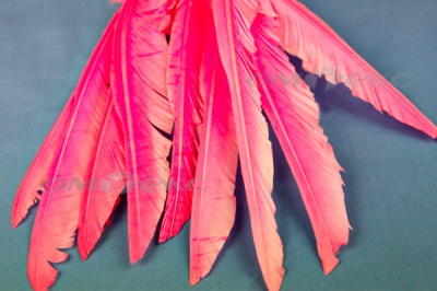 Декоративный Пучок из перьев, перо 25см/розовый - купить в Рыбинске. Цена: 14.40 руб.