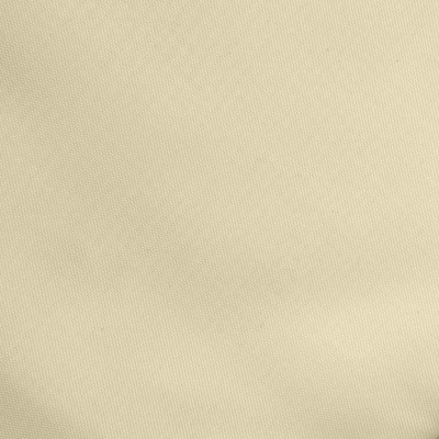 Ткань подкладочная Таффета 14-1014, антист., 53 гр/м2, шир.150см, цвет бежевый - купить в Рыбинске. Цена 62.37 руб.