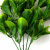 Трава искусственная -1, шт (эвкалипт лист 32 см/8 см)				 - купить в Рыбинске. Цена: 169.93 руб.