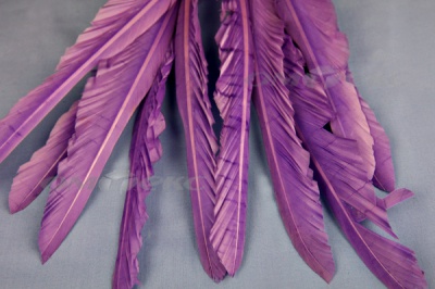 Декоративный Пучок из перьев, перо 25см/фиолетовый - купить в Рыбинске. Цена: 12.19 руб.