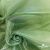 Ткань органза, 100% полиэстр, 28г/м2, шир. 150 см, цв. #27 зеленый - купить в Рыбинске. Цена 86.24 руб.