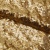 Сетка с пайетками №3, 188 гр/м2, шир.140см, цвет золотой - купить в Рыбинске. Цена 454.12 руб.