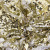 Трикотажное полотно, Сетка с пайетками, шир.130 см, #315, цв.-белый/золото - купить в Рыбинске. Цена 693.39 руб.