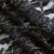 Кружевное полотно XD LACE 1-4, 80 гр/м2, шир.150см, цвет чёрный - купить в Рыбинске. Цена 245.94 руб.